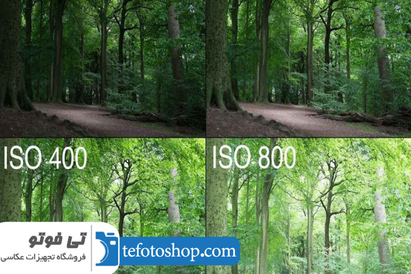ایزو در عکاسی و تاثیر آن بر نوردهی و نویز تصویر